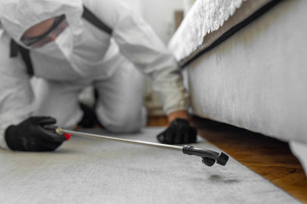 Professional Pest Control technician working in Williams, CA