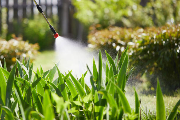 24/7 Emergency Pest Control experts in Williams, CA